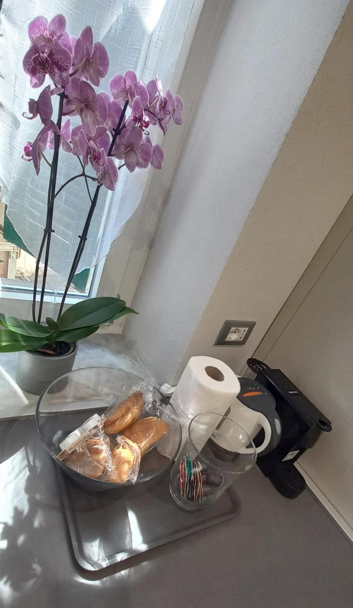 Baxeico Old Town Parking Free Apartment Genoa Bagian luar foto